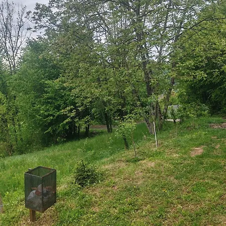 Apartamento Escape Zavidovici